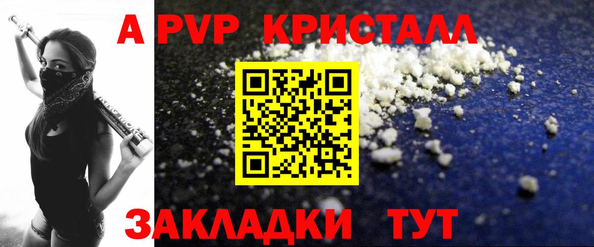 Alfa_PVP СК Йошкар-Ола