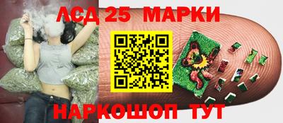 apvp Краснознаменск