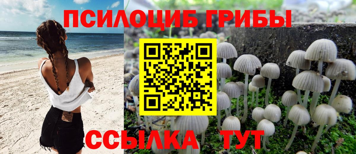 Галлюциногенные грибы Cubensis Йошкар-Ола