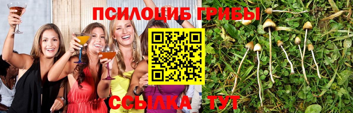 где купить наркоту  Псилоцибиновые грибы мухоморы  Вход с VPN  Галлюциногенные грибы прущие грибы  Йошкар-Ола 