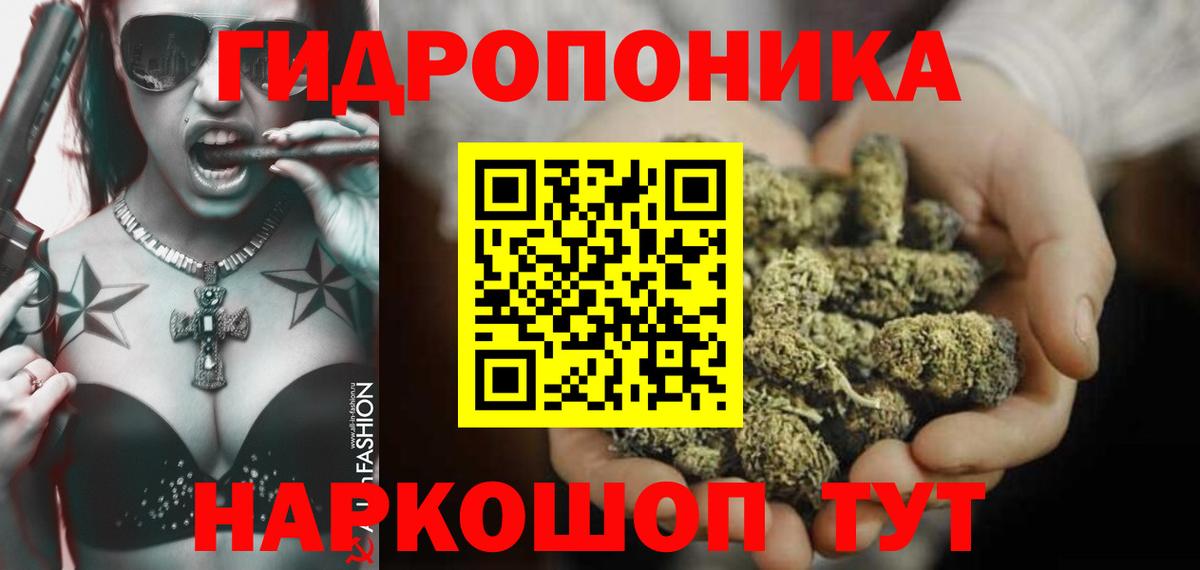 Йошкар-Ола  Бошки марихуана Amnesia  Марихуана тримм  Марихуана Bruce Banner  Вход с VPN 